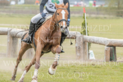 Forever-Paola Mia Lucia SCHAPER