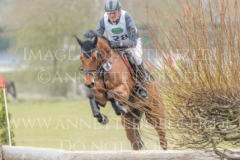 Capolino 5 Elmar LESCH