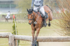 Capolino 5 Elmar LESCH