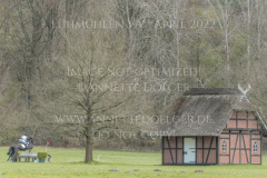 Nightfire 28 Emma WITTL