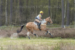 Rainstown Queen Anna-Clara VON BERKHOLZ