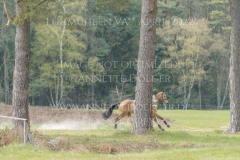 Rainstown Queen Anna-Clara VON BERKHOLZ