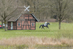 Ibsen 27 Jan MATTHIAS