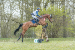 Quitte 29 Lotte PALMGREN