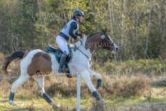 Won Da Pie 5 Stella ROSEBROCK