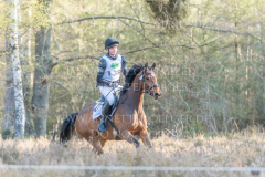 A Beauty Girl Carl Constantin von ZIEGNER