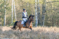 A Beauty Girl Carl Constantin von ZIEGNER