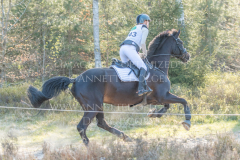 Adonis 309 Kristina KASTE