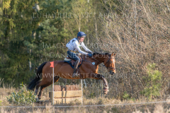 Check Points Darling Ludwig LENZ