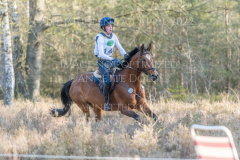 Check Points Darling Ludwig LENZ