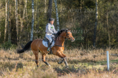 Cinnamon Cookie Silvia GOZZI