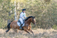 Cinnamon Cookie Silvia GOZZI