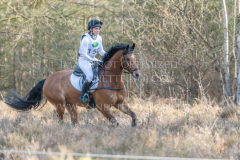 Cinnamon Cookie Silvia GOZZI