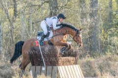 Cinnamon Cookie Silvia GOZZI