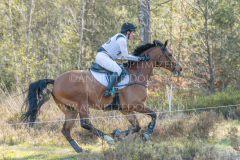 Cinnamon Cookie Silvia GOZZI