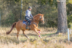 Classic Edition 5 Dennis HUITS