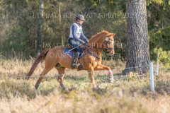 Classic Edition 5 Dennis HUITS