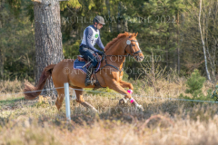 Classic Edition 5 Dennis HUITS