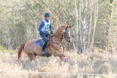 Classic Edition 5 Dennis HUITS