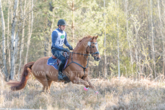 Classic Edition 5 Dennis HUITS