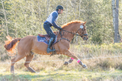 Classic Edition 5 Dennis HUITS