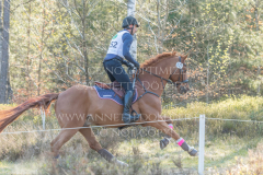 Classic Edition 5 Dennis HUITS