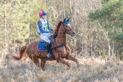 Confetti 39 Svenja KIESE