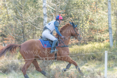 Confetti 39 Svenja KIESE