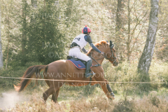 Confetti 39 Svenja KIESE