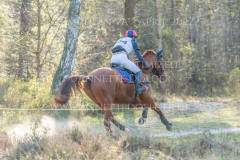 Confetti 39 Svenja KIESE