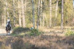 Diva R Theresa HOMMEL