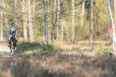 Diva R Theresa HOMMEL