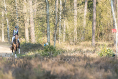 Diva R Theresa HOMMEL