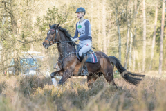 Diva R Theresa HOMMEL