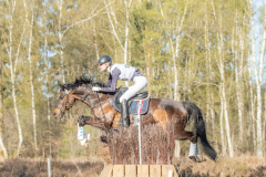 Diva R Theresa HOMMEL