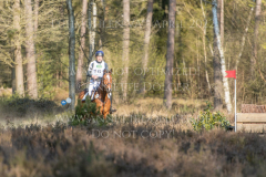 Carry me home 4 Markus HANSEN