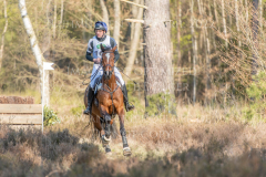 Carry me home 4 Markus HANSEN