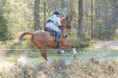 Duke of Holstein Lucia LEHNEBACH