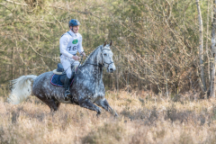 Chaos C Walter LEWIN