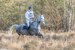 Chaos C Walter LEWIN