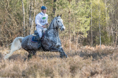 Chaos C Walter LEWIN