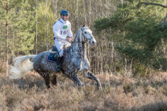 Chaos C Walter LEWIN