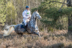 Chaos C Walter LEWIN