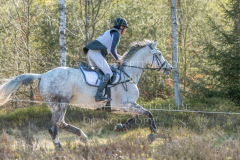 Contenance 24 Antje HOFELE