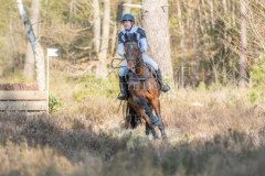 Cool Collin Lisa RICKERT