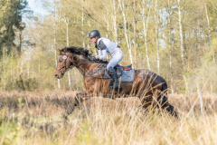 Cool Collin Lisa RICKERT