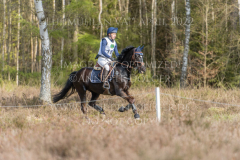 Hannibals Revenge Franziska ARP