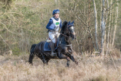 Hannibals Revenge Franziska ARP