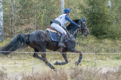 Hannibals Revenge Franziska ARP