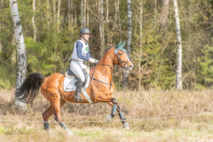 Jade 69 Merle DENKER